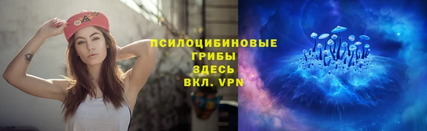 трава Абаза