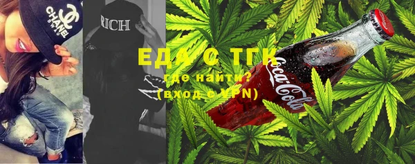 индика Алексин