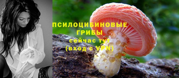 гашик Абинск