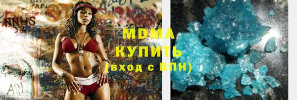 индика Алексин