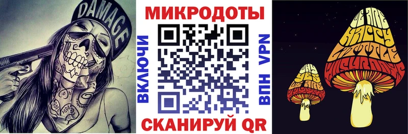 Галлюциногенные грибы Psilocybine cubensis  цены   Грозный 